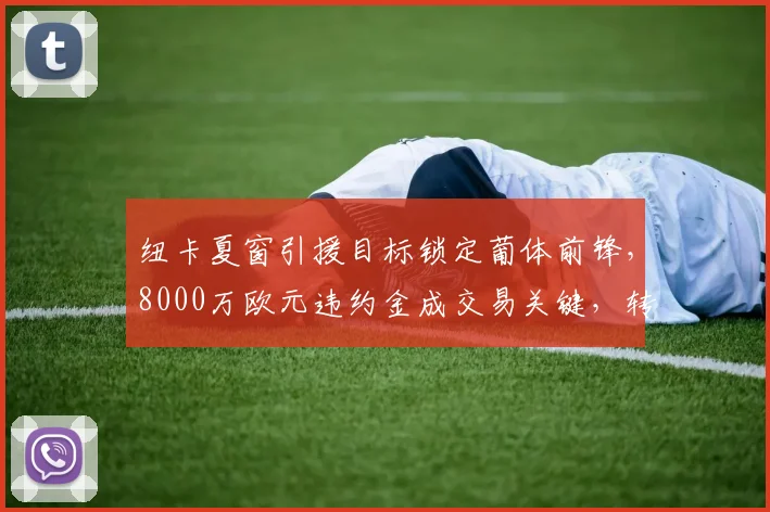 纽卡夏窗引援目标锁定葡体前锋,8000万欧元违约金成交易关键,转会传闻最新解析