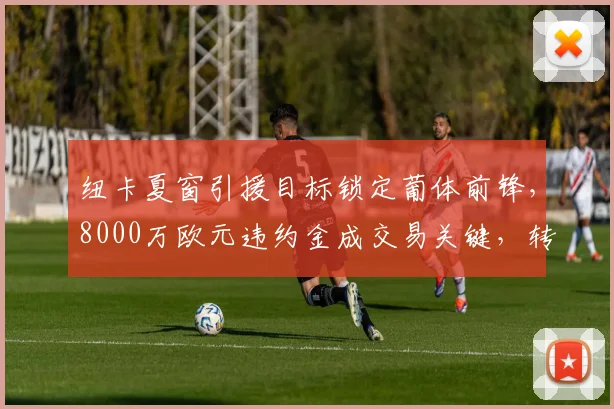 纽卡夏窗引援目标锁定葡体前锋，8000万欧元违约金成交易关键，转会传闻最新解析
